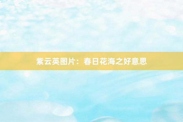 紫云英图片：春日花海之好意思