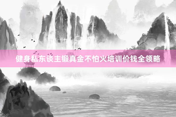 健身私东谈主锻真金不怕火培训价钱全领略